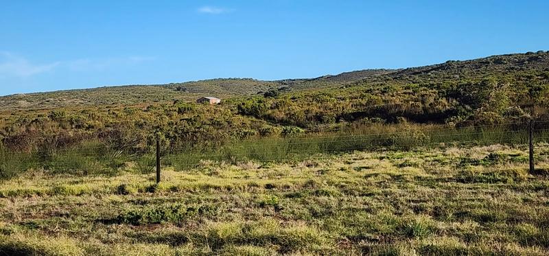 0 Bedroom Property for Sale in Albertinia Western Cape